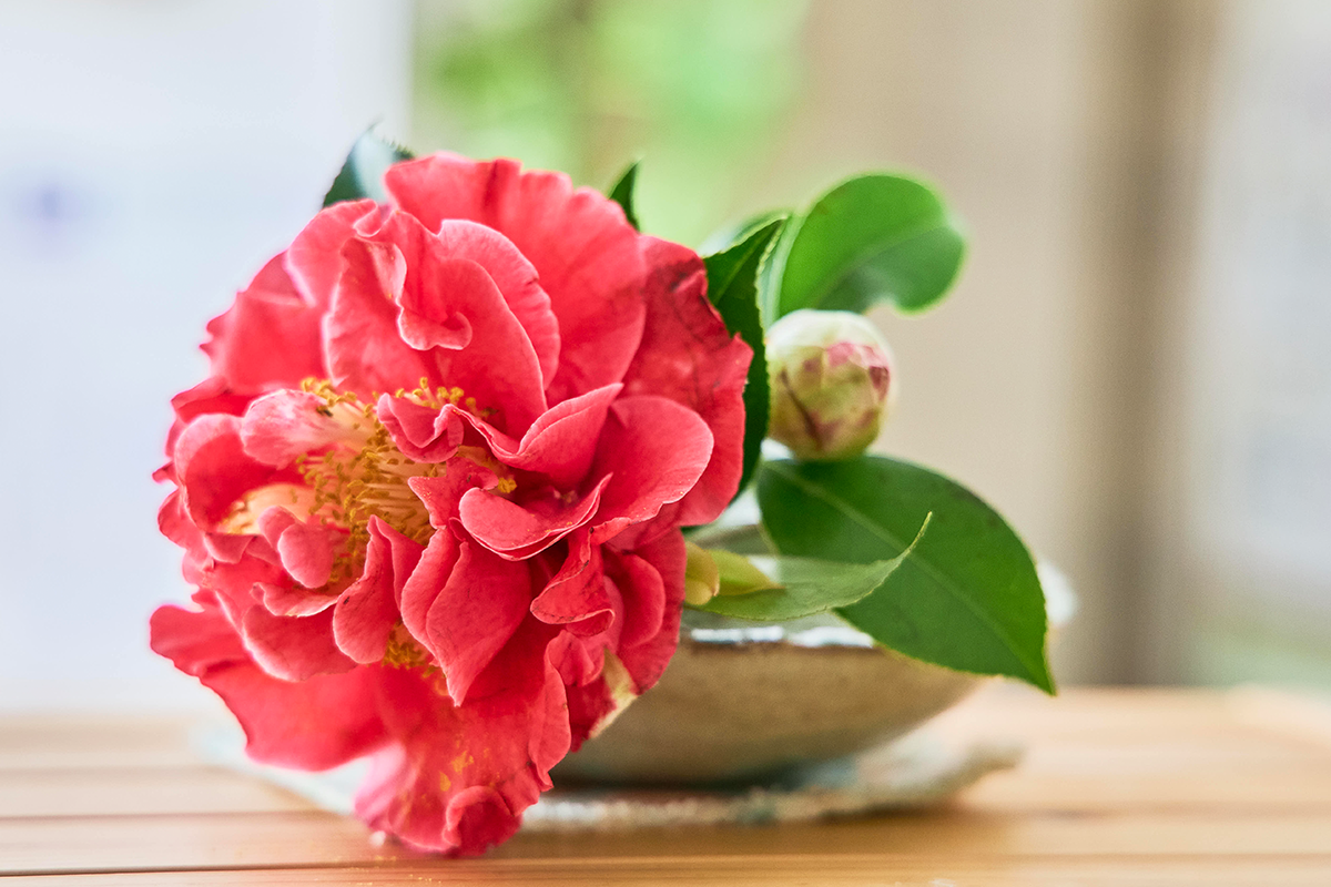 満天クリニックからの挨拶